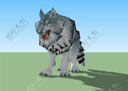 狼3D模型图片