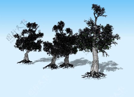槐树3D模型图片