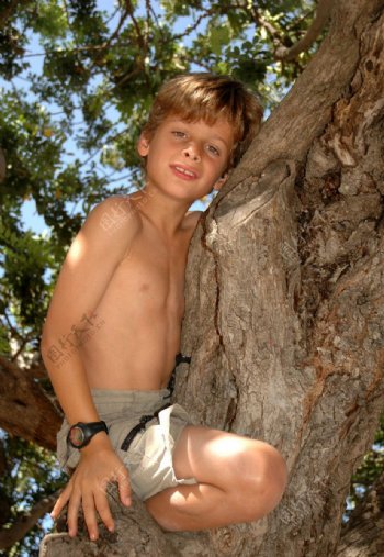 在树上的男孩图片