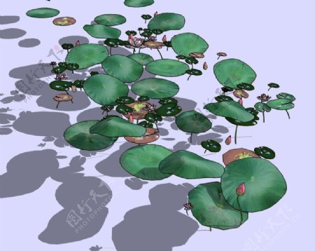荷塘精细3D模型图片