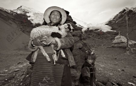 雪山下抱着羊羔的藏族大妈图片