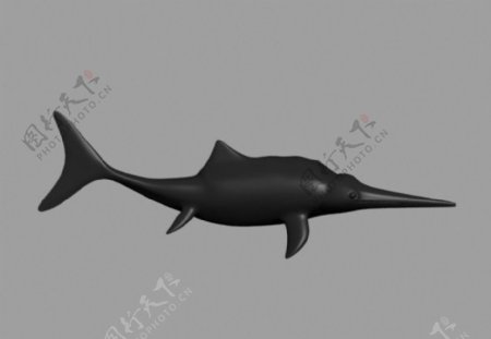 3D鱼龙恐龙模型图片