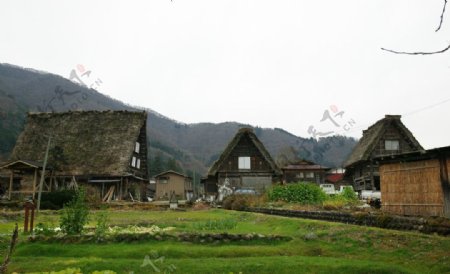 日本岐阜五崮山村落图片