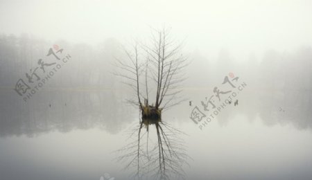 奥林匹克公园晨雾图片