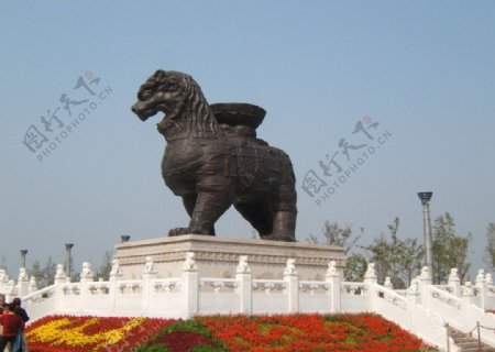 沧州新铁狮图片