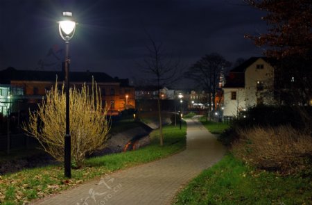 德国茨维考夜景图片