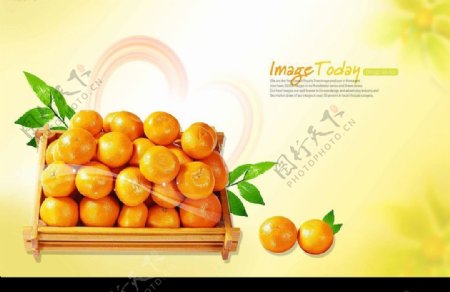 高清晰新鲜柑橘分层PSD图片