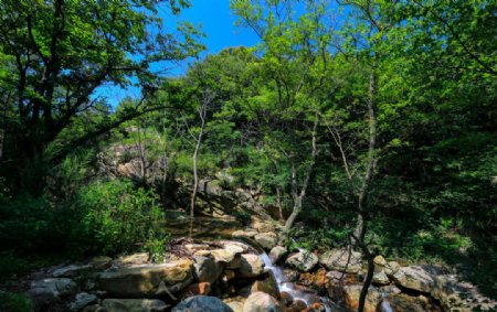 孔雀沟风景区图片