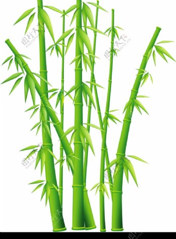 翠绿的竹子只是被抠出来图片