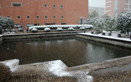 杭州电子科技大学的雪景图片