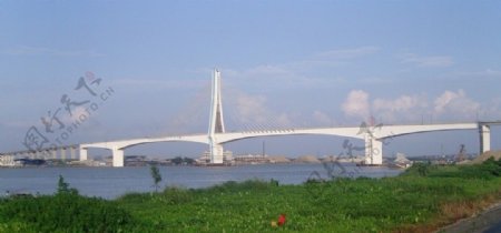 广珠西江特大桥图片