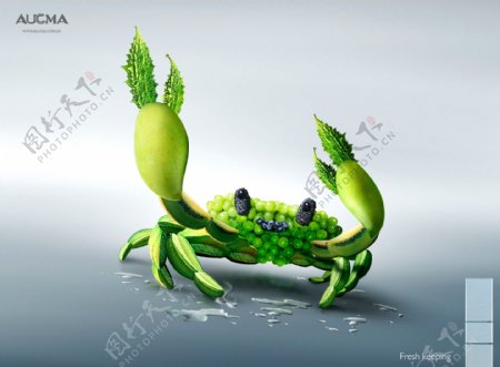 螃蟹保鲜艺术设计图片