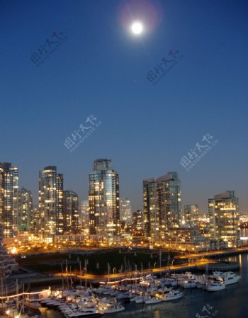 美丽城市的月光夜色图片
