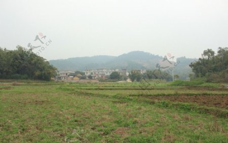我的家乡小凤山村图片