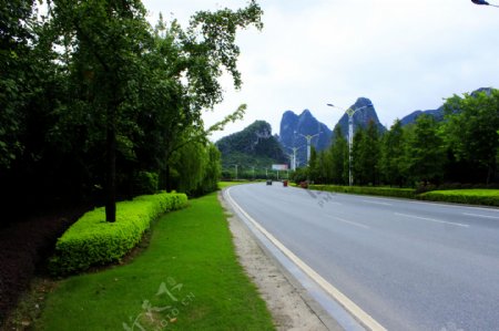 琴潭公路绿化图片
