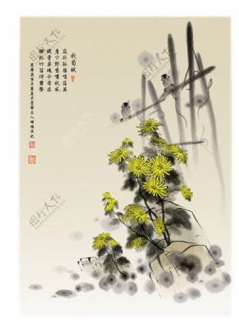 矢量彩绘菊花图片