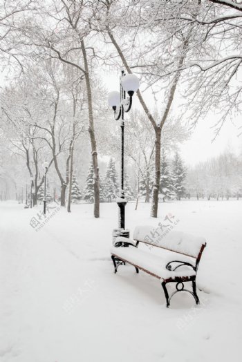 雪中长椅图片