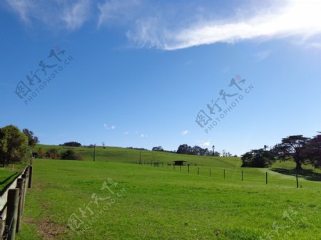 新西兰牧场图片