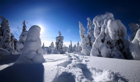 雪后风景图片