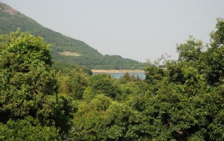 茶溪谷图片