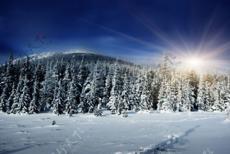 冬季雪景图片