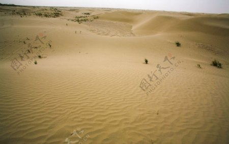 达瓦昆沙漠图片