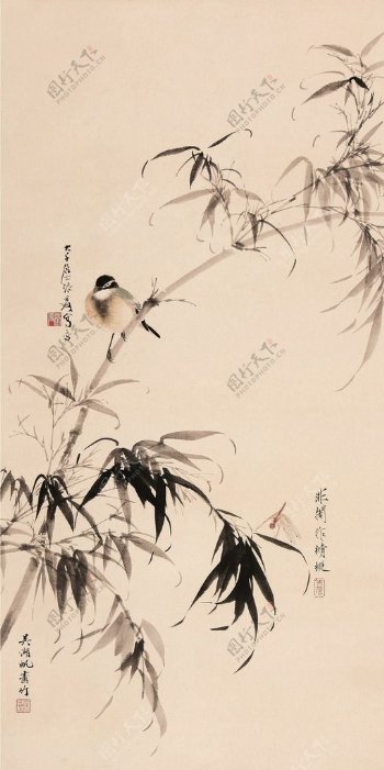 竹鸟蜻蜓图片