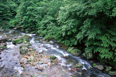 小溪流水图片