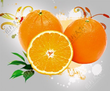 橙子设计图片