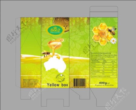 桉树蜜蜂蜜包装设计图片