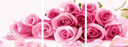 粉红玫瑰数字油画图片