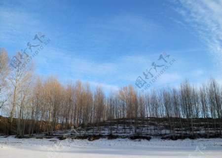 冬日的蓝天图片