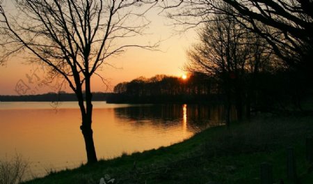 夕阳池塘景色图片