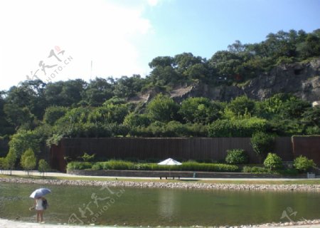 辰山植物园镜湖区图片