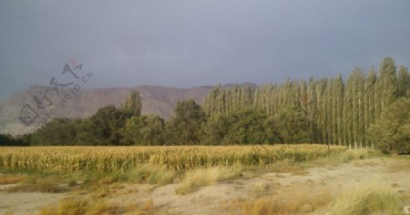 新疆巴州风光图片