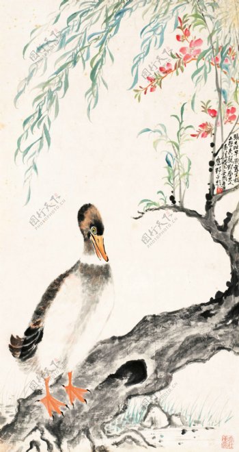柳塘鸭戏图片
