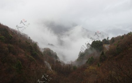 自然仙境之迷雾图片
