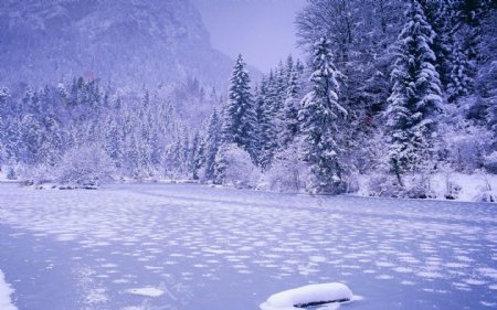 冬季高清雪景壁纸图片