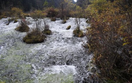 秋天九寨沟的水流图片