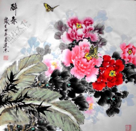 杨建中国画牡丹图片