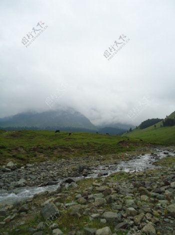 鹿角湾自然风景图片