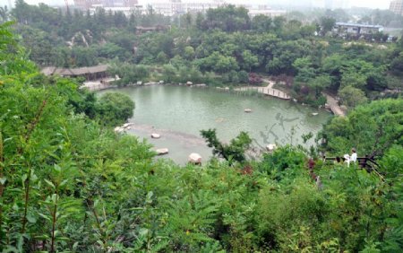 徐州金龙湖旁景区图片