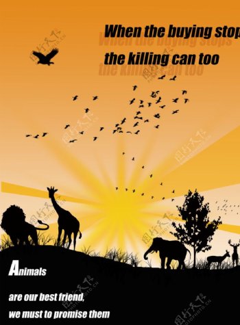野生动物公益性广告图片