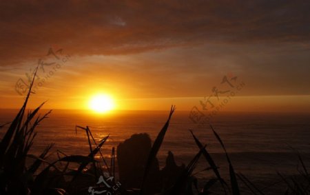 新西兰夕阳大海图片