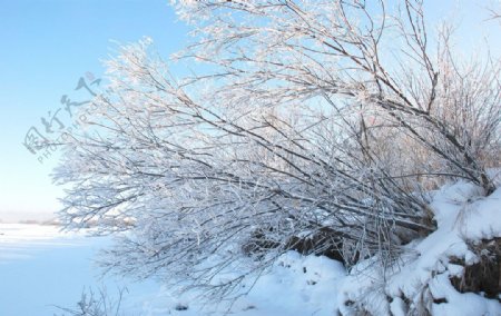 南河套雪景图片