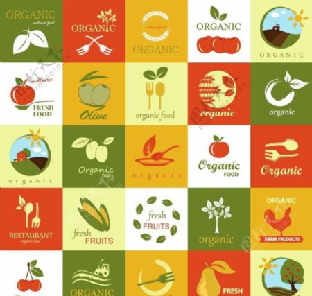 有机食品食物图标图片