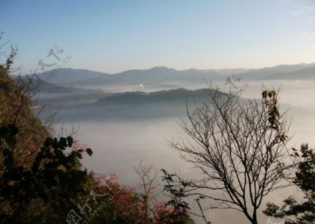 清晨的雾图片