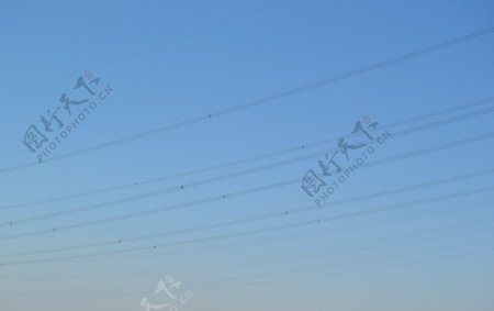 蔚蓝天空中的电线图片