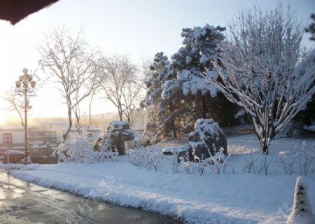 观唐小区雪景图片