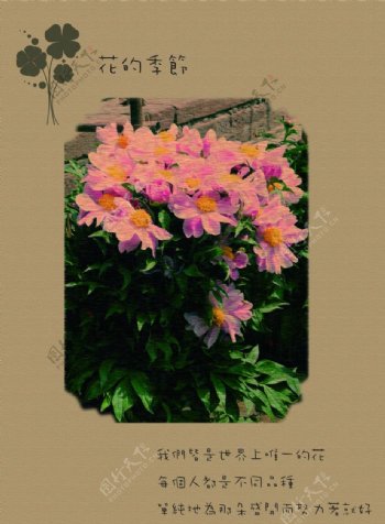 笔记本封面花的季节图片